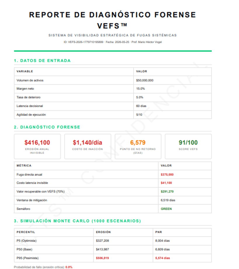 Radar VEFS: Panel ROA ROE Multi-Perfil: Eficiencia Operativa, Rentabilidad Socios, Efecto Apalancamiento, Drivers Operativos, Ratio de Capital, Matriz ROE vs Solvencia